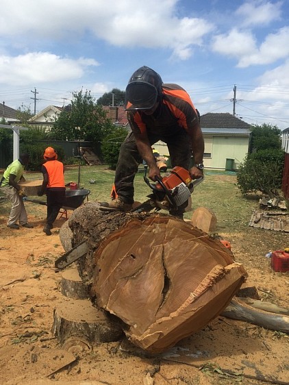 stump grinding Sydney